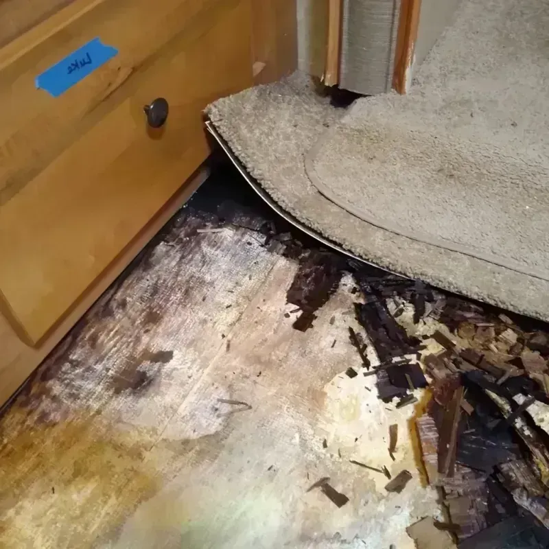 Wood Floor Water Damage in Maplewood, MN